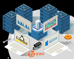 Dịch vụ Cheap Dedicated Servers – VPS – Hosting giá rẻ uy tín tại Thế Giới Số
