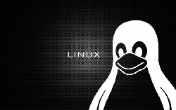 90% PUBLIC CLOUD CHẠY TRÊN LINUX